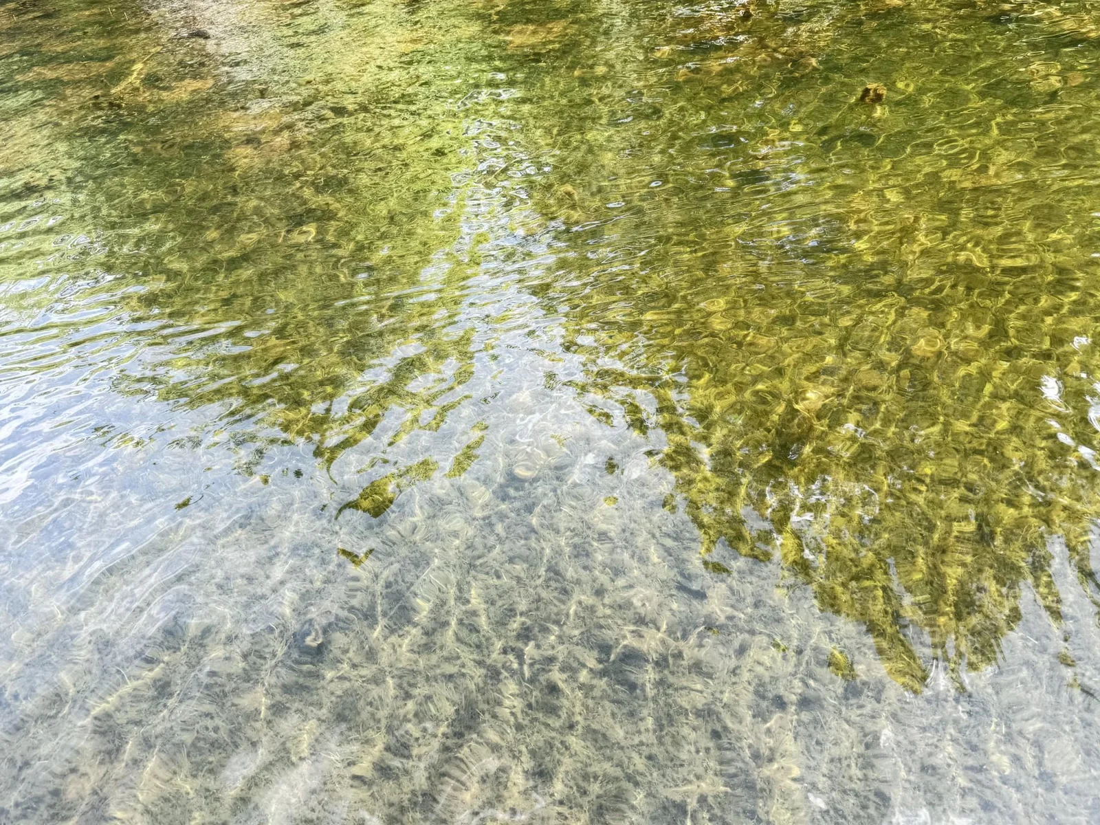 Hard sand / gravel shoreline