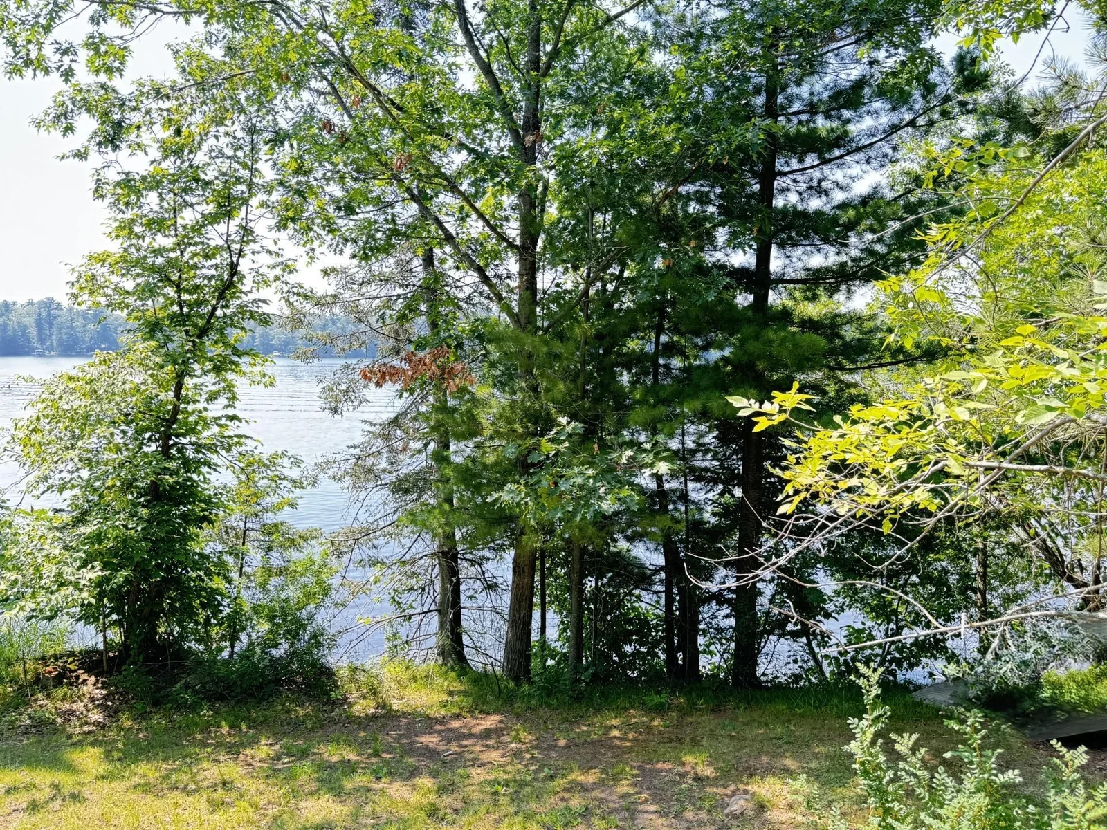 Excellent elevation to shore