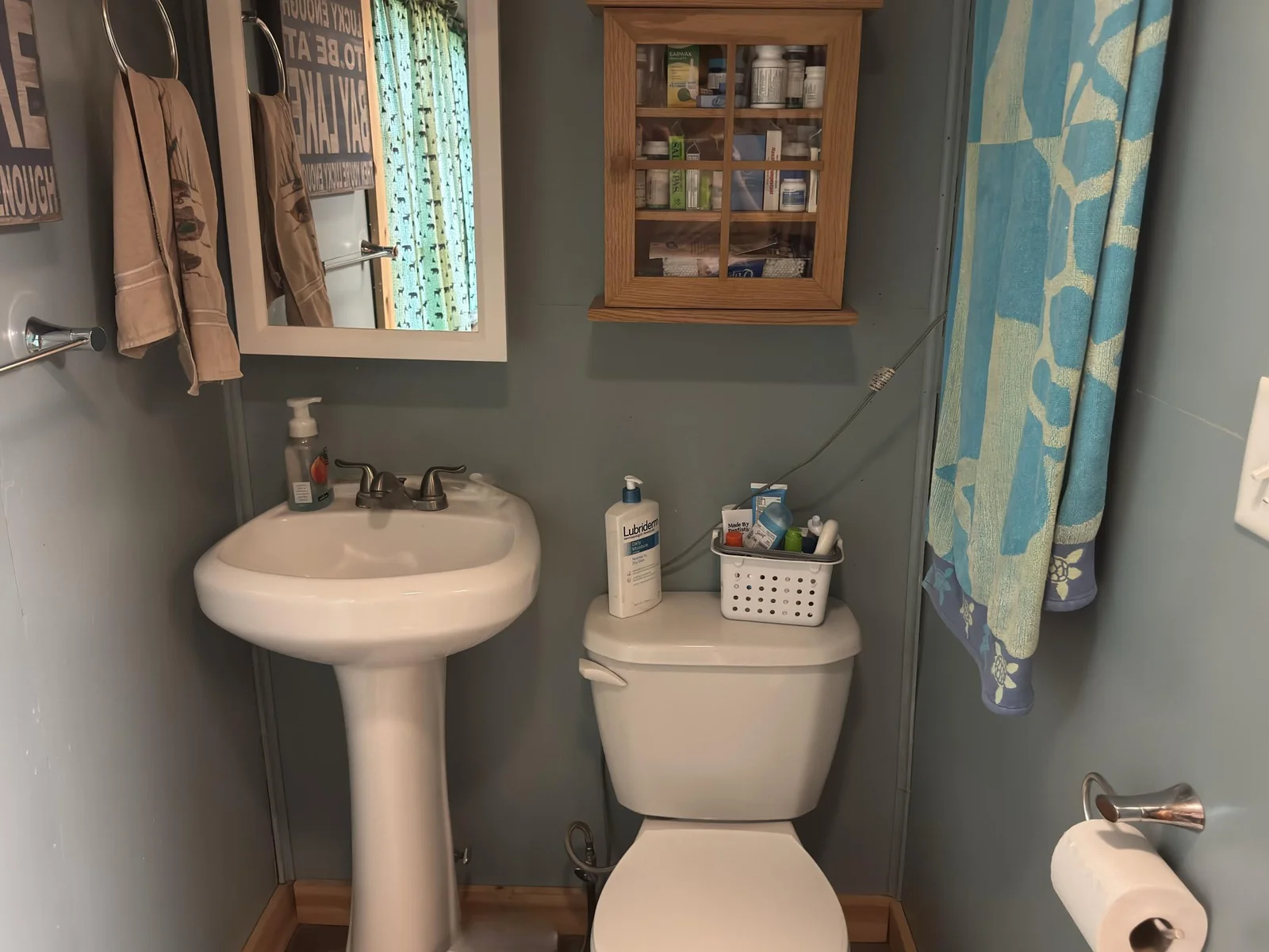 Red cabin bathroom with shower