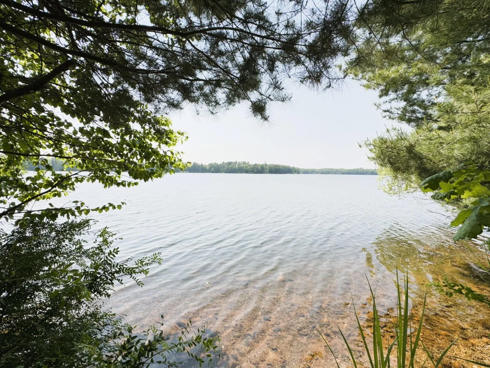 Sweeping  lake view