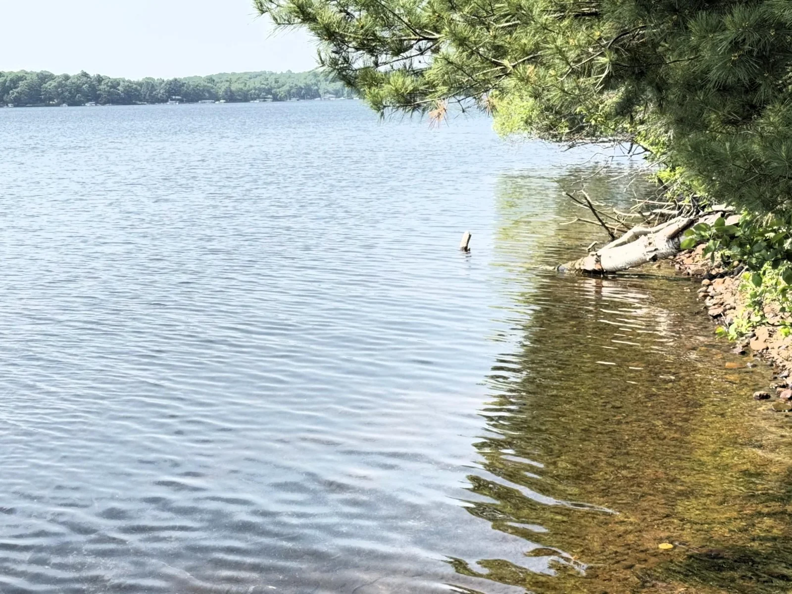 Go jump in the lake!