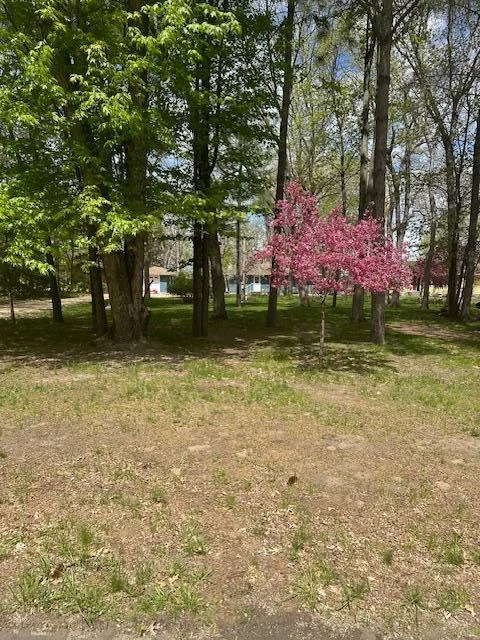 Thumbnail photo 36
