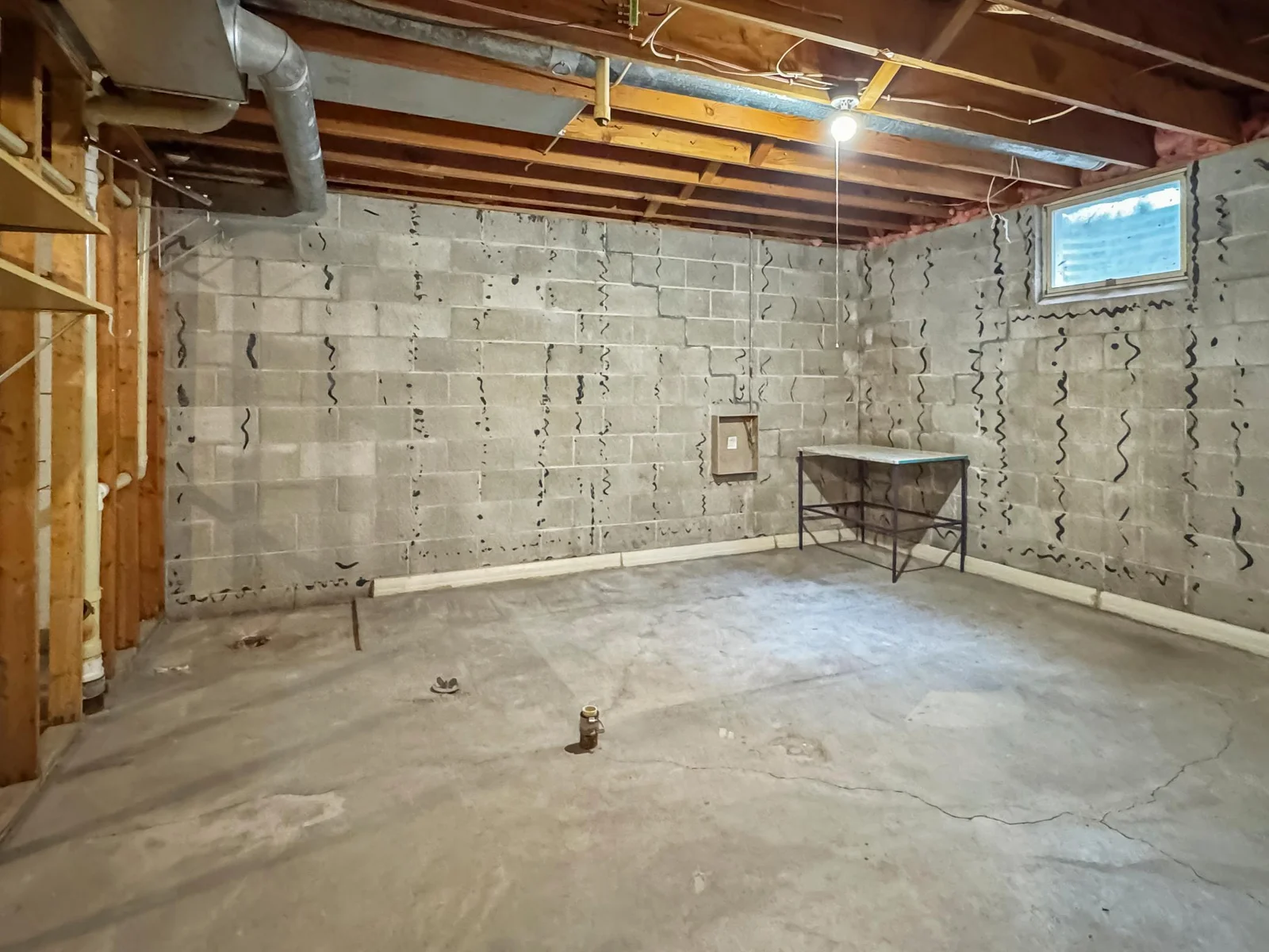 Basement - so much potential!