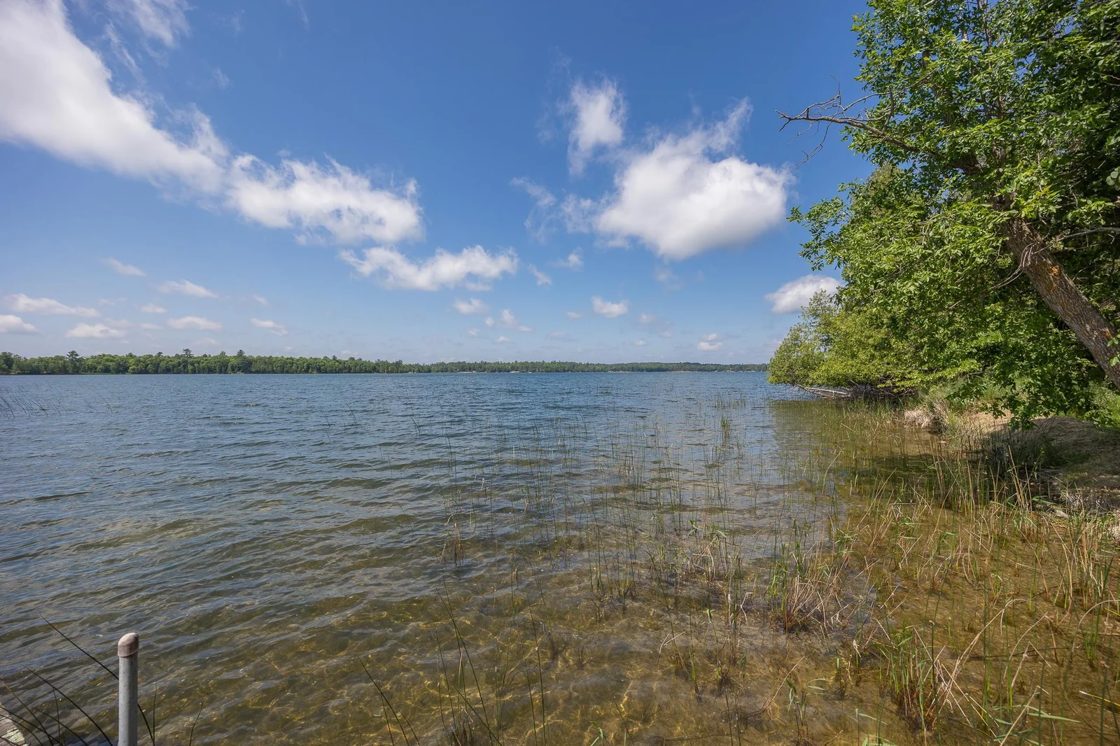 Beautiful Woman Lake views