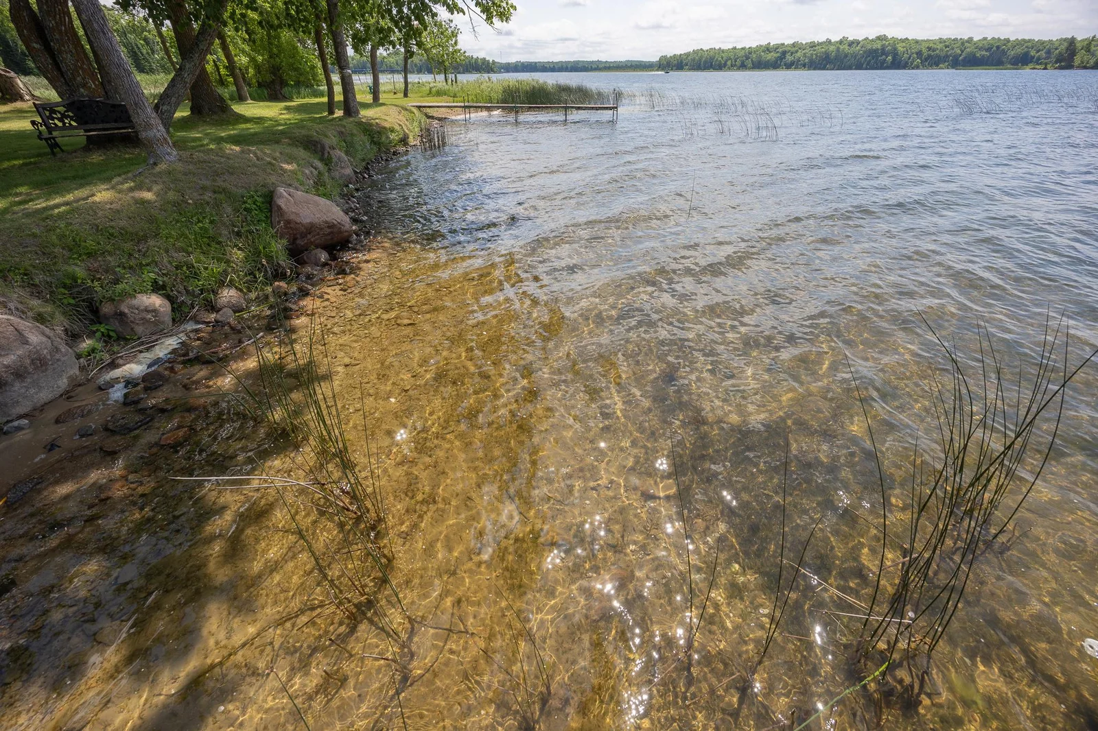 Sandy shoreline