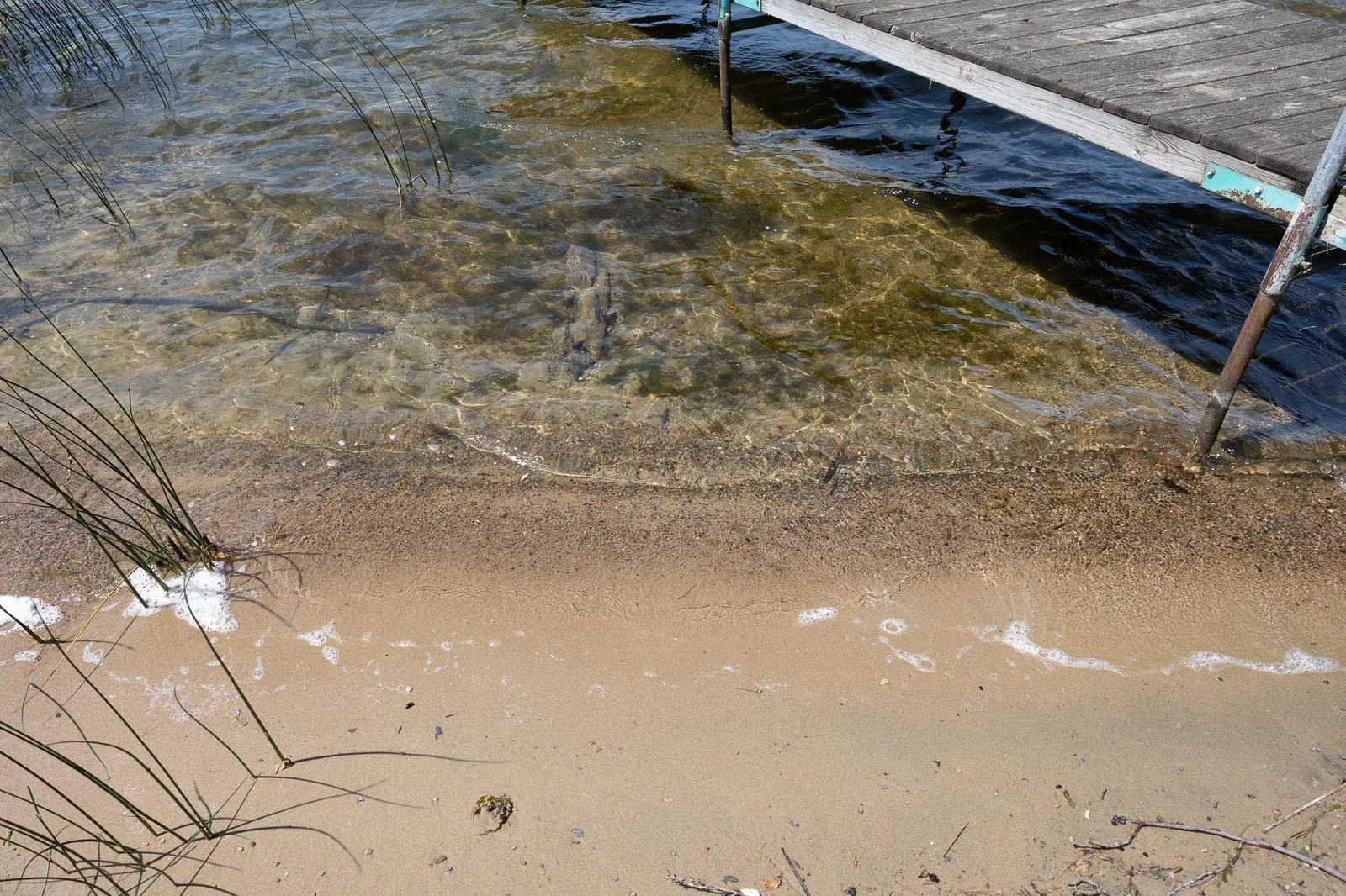Sandy shoreline