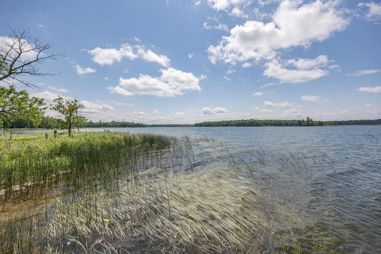 Additional views of Woman Lake