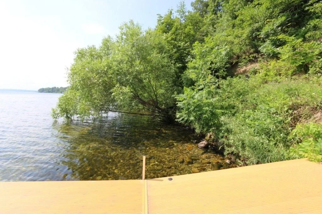 Shoreline.jpg