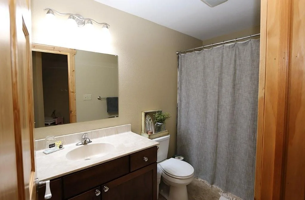 lower level bath.jpg