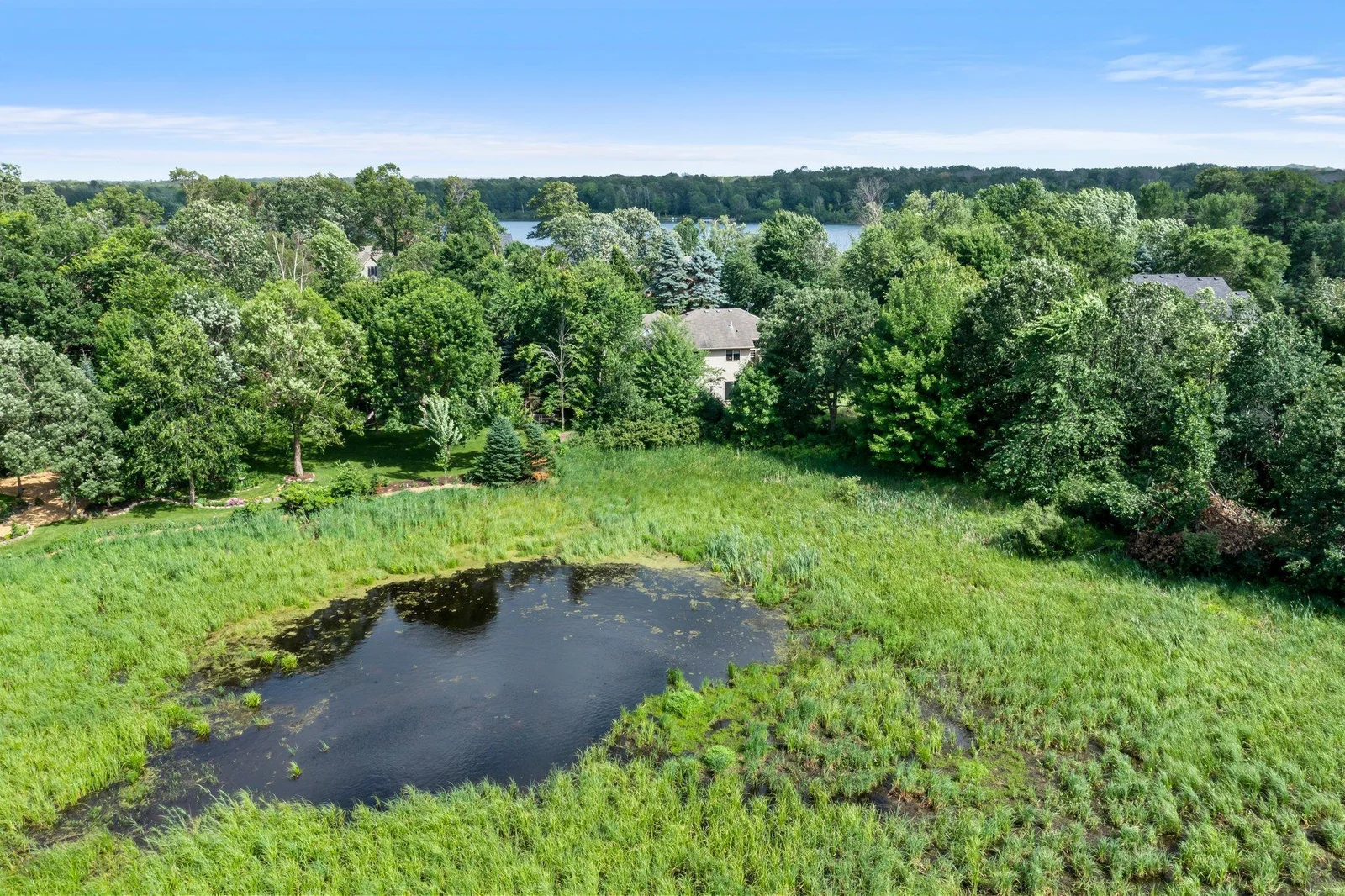 Large pond to observe Wildlife