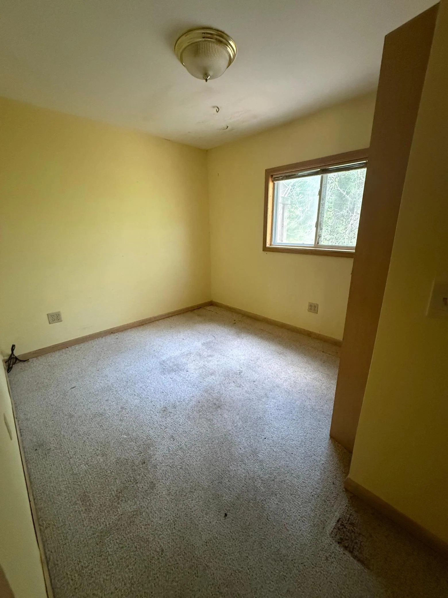 Guest Cabin