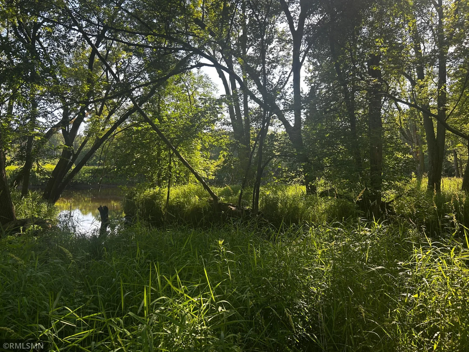 River bank.jpg