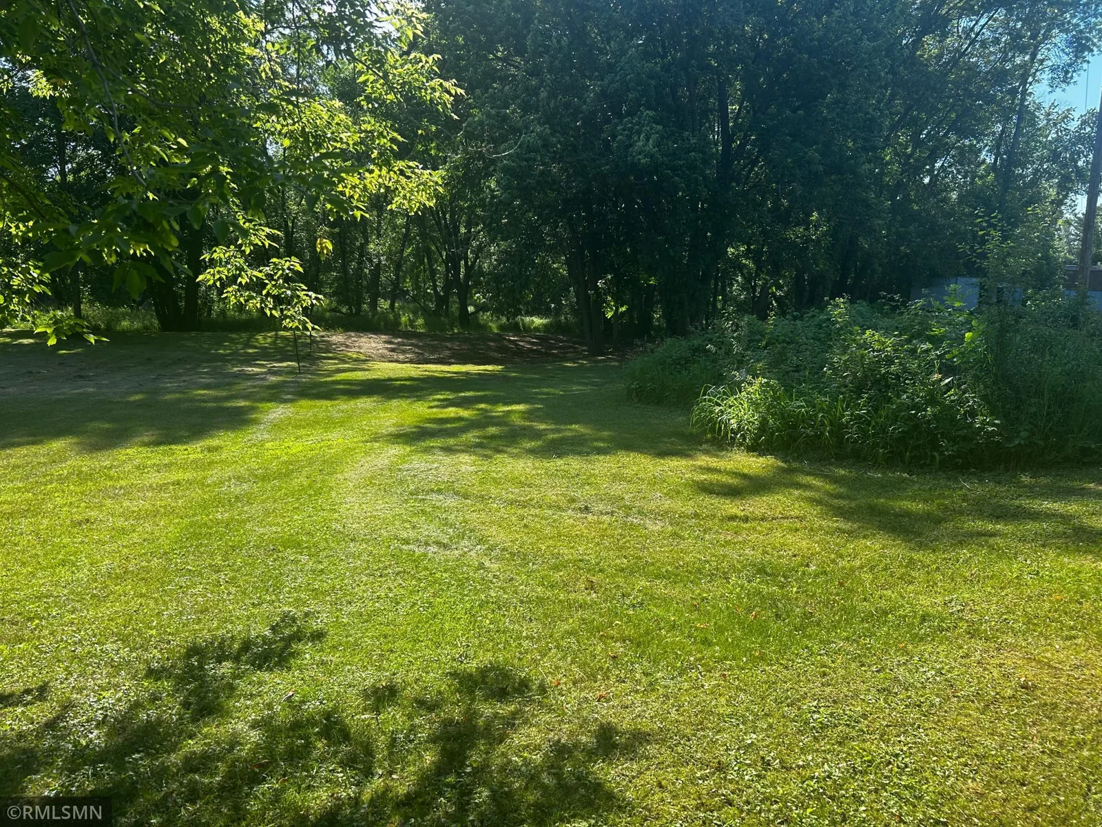 View to the River.jpg