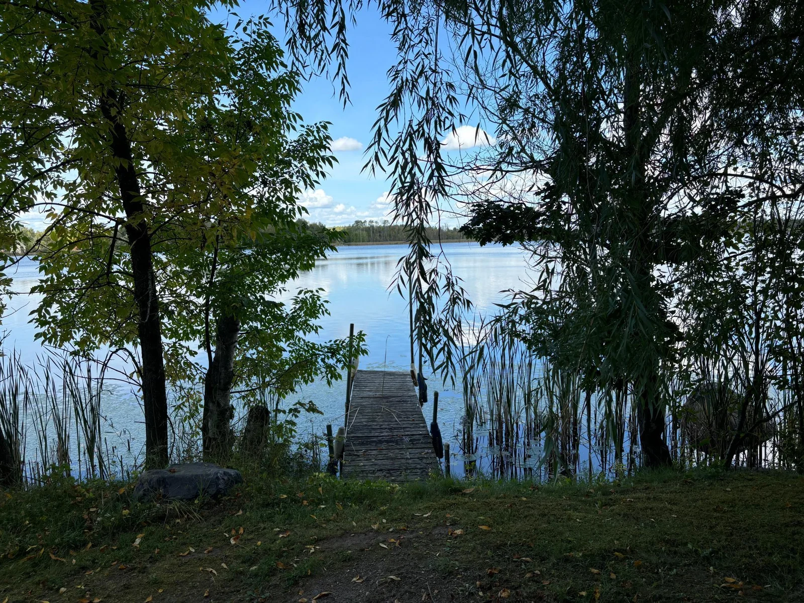 Jenkins Lake