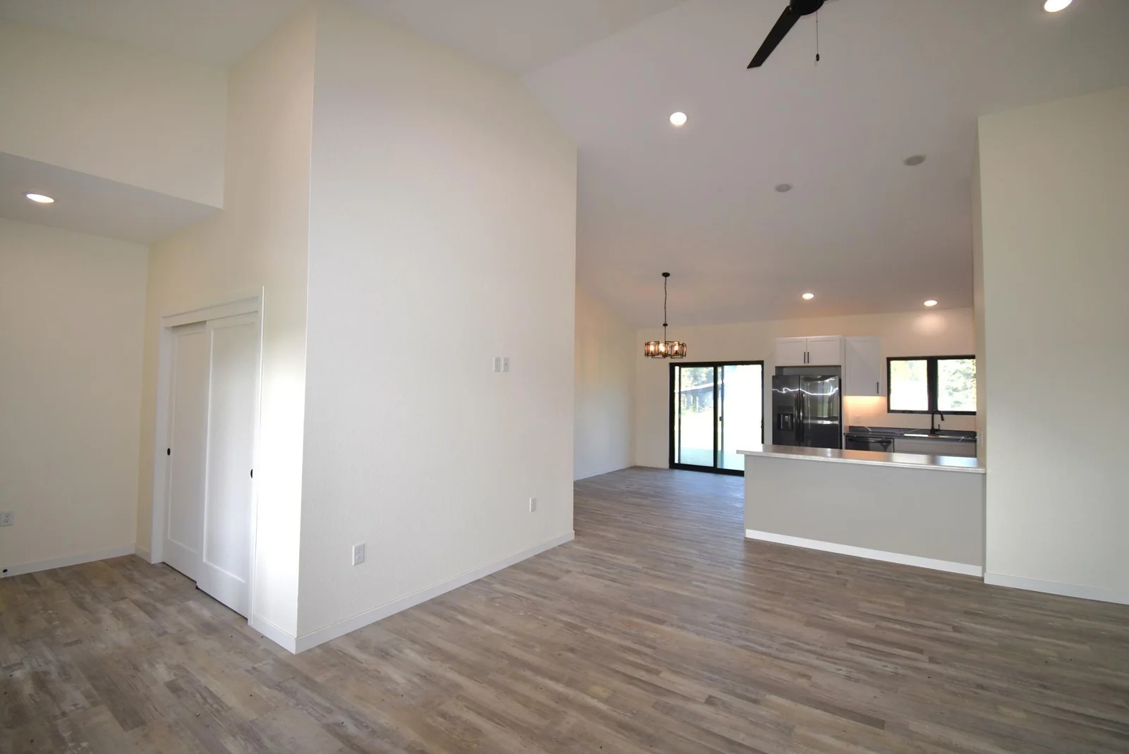 Entry/ Living Room/ Kitchen/ Dining Room