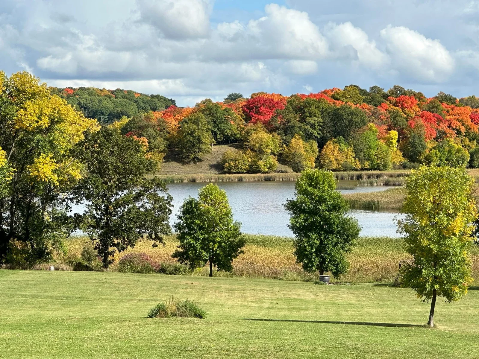 Fall