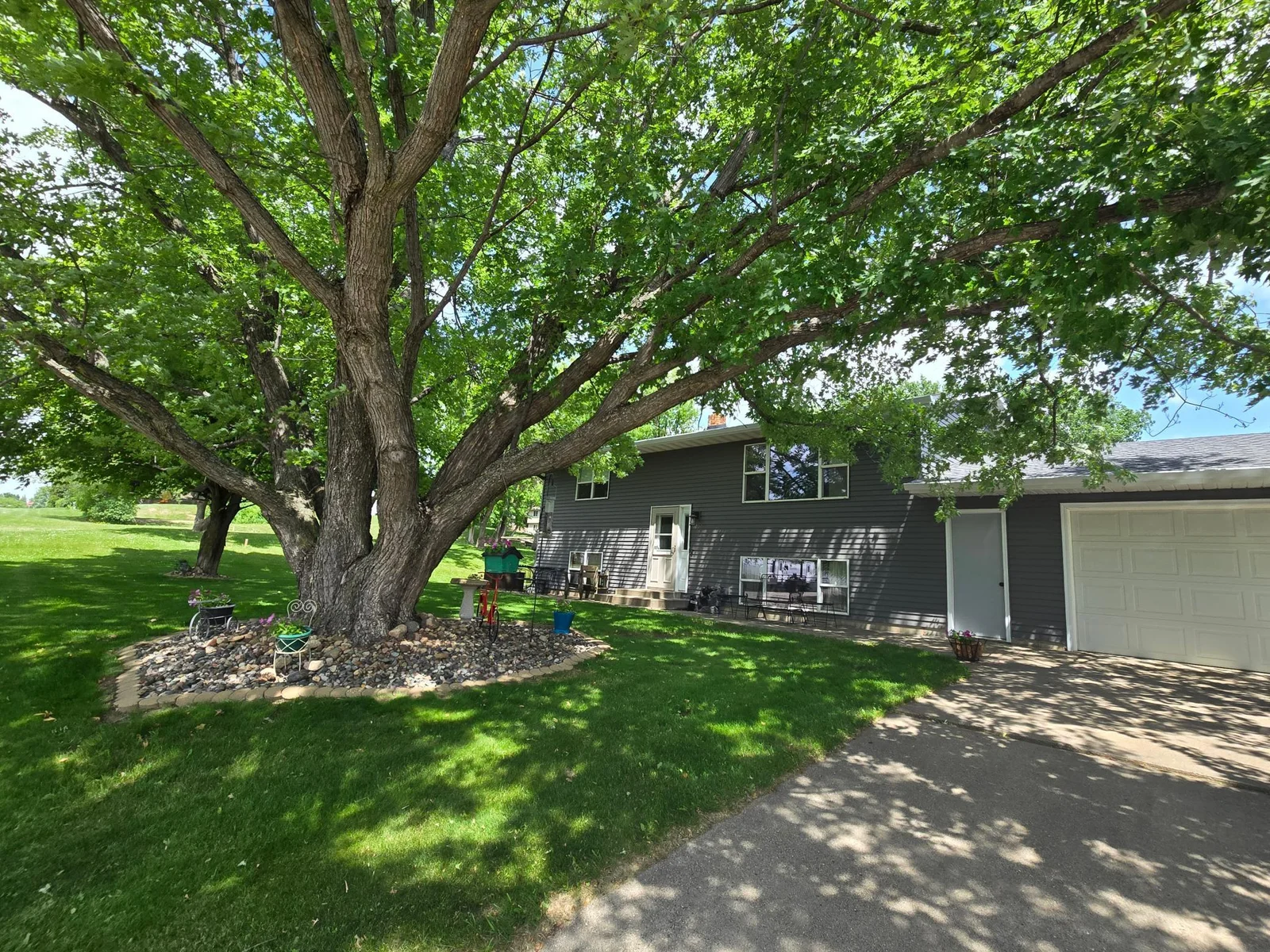 Shady Front Yard
