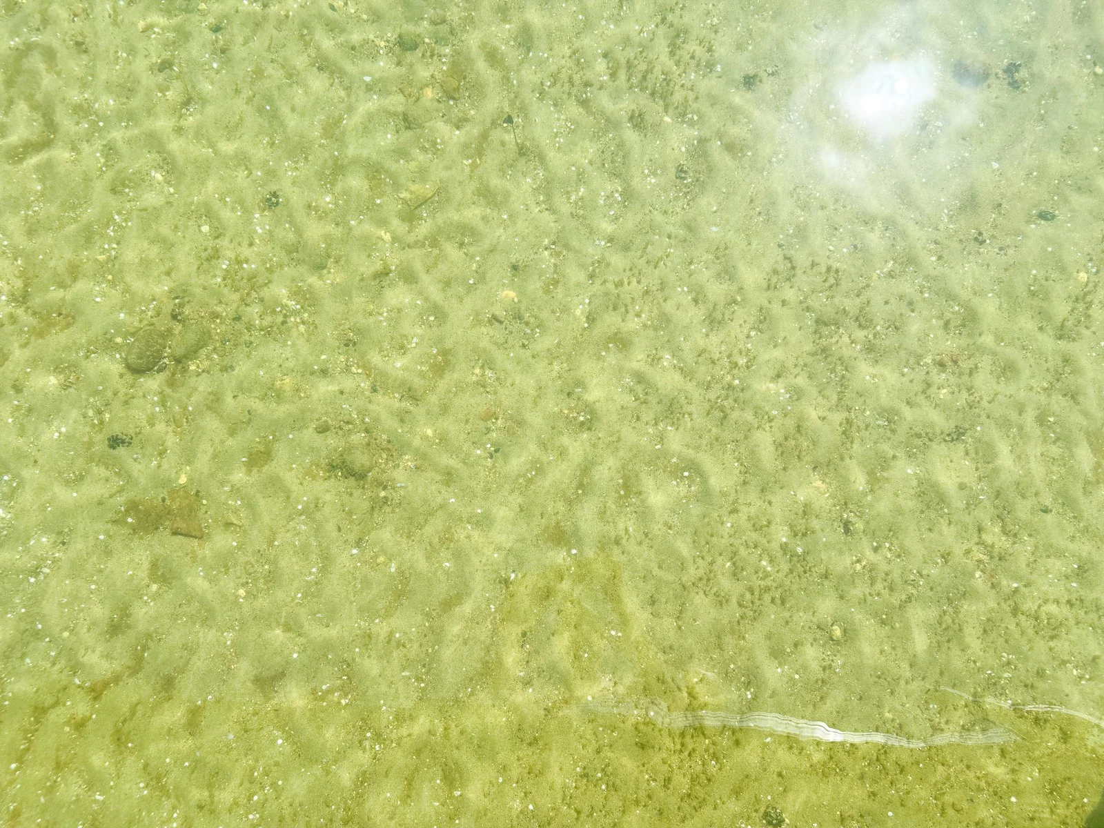 Water