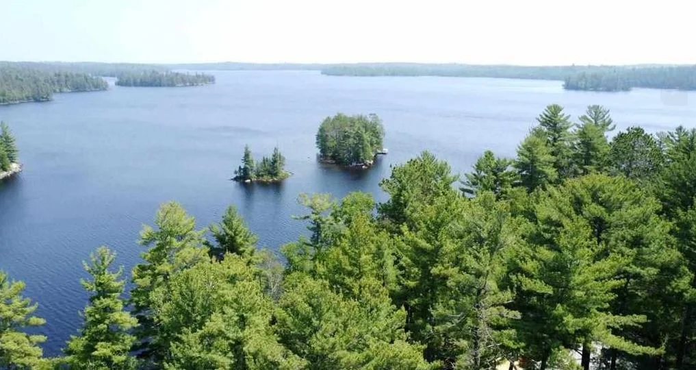 2025-06-25_092140.jpg