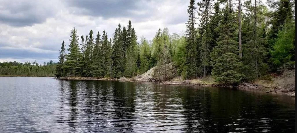Photo 1 of Elbow Lake North