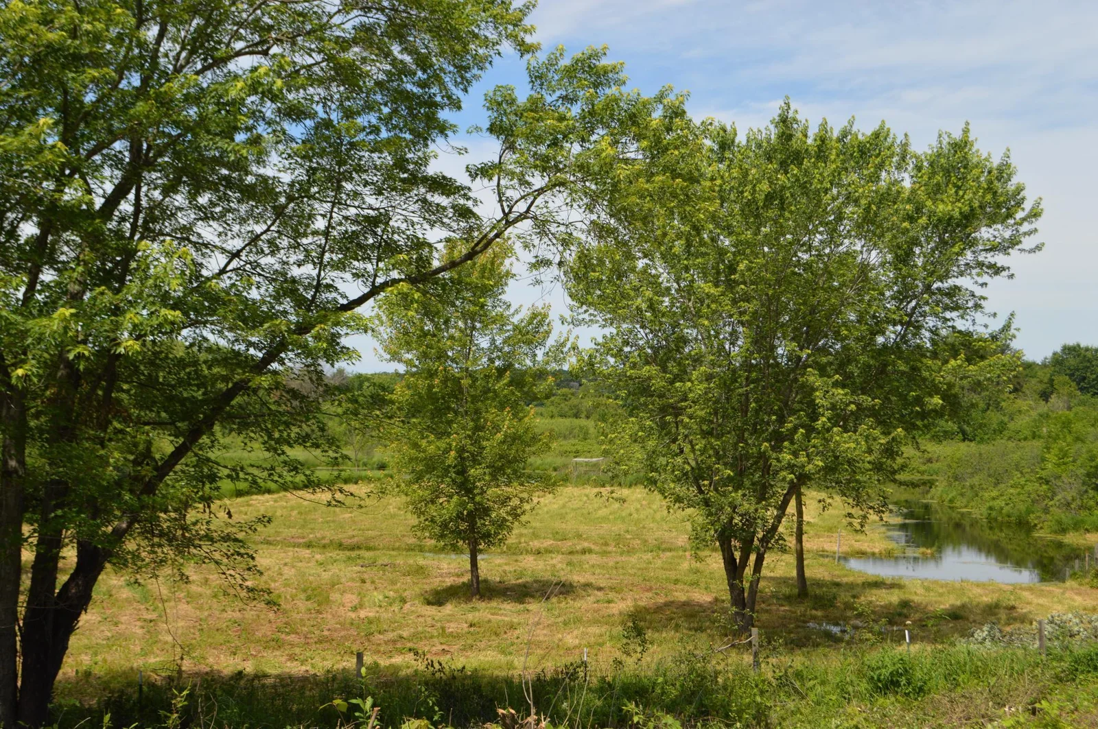 View 3.JPG