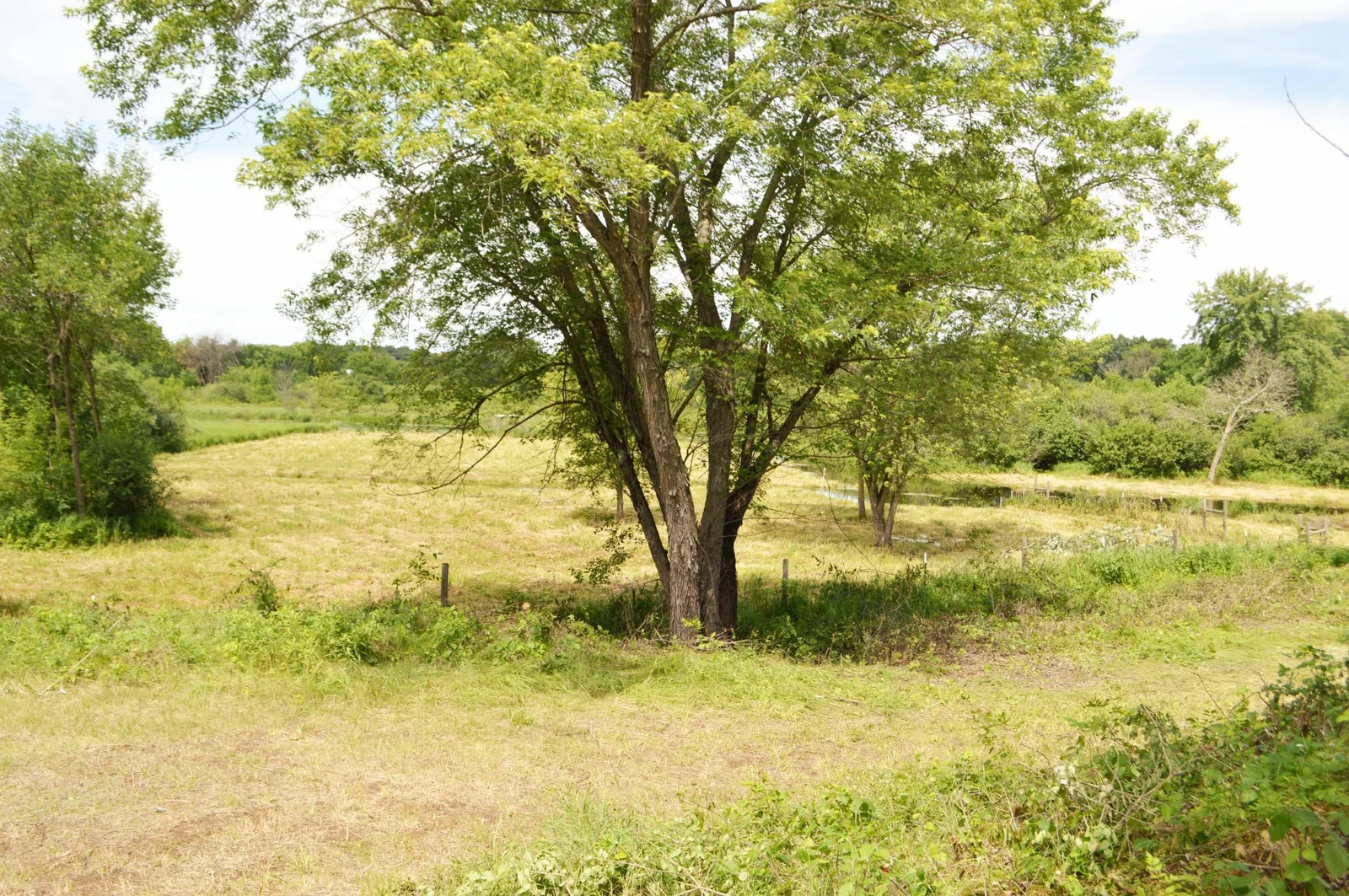 View 5.jpg