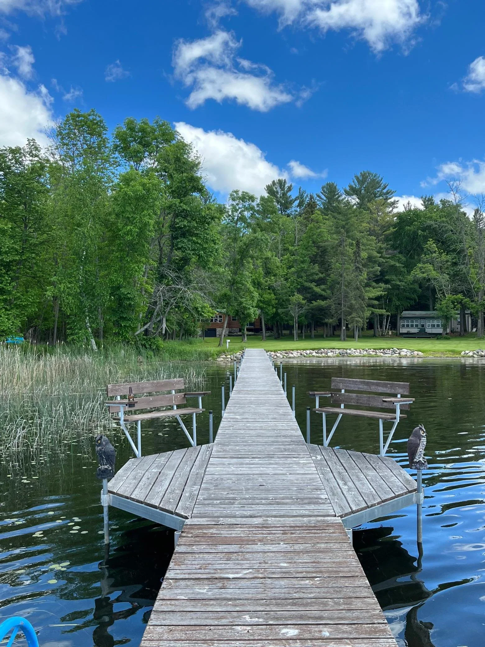 Owner's dock and shoreline before they remove the dock