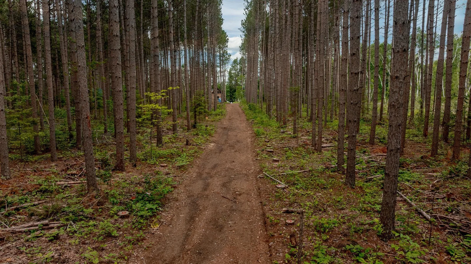29 acres