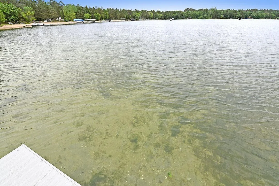 Lake Bottom