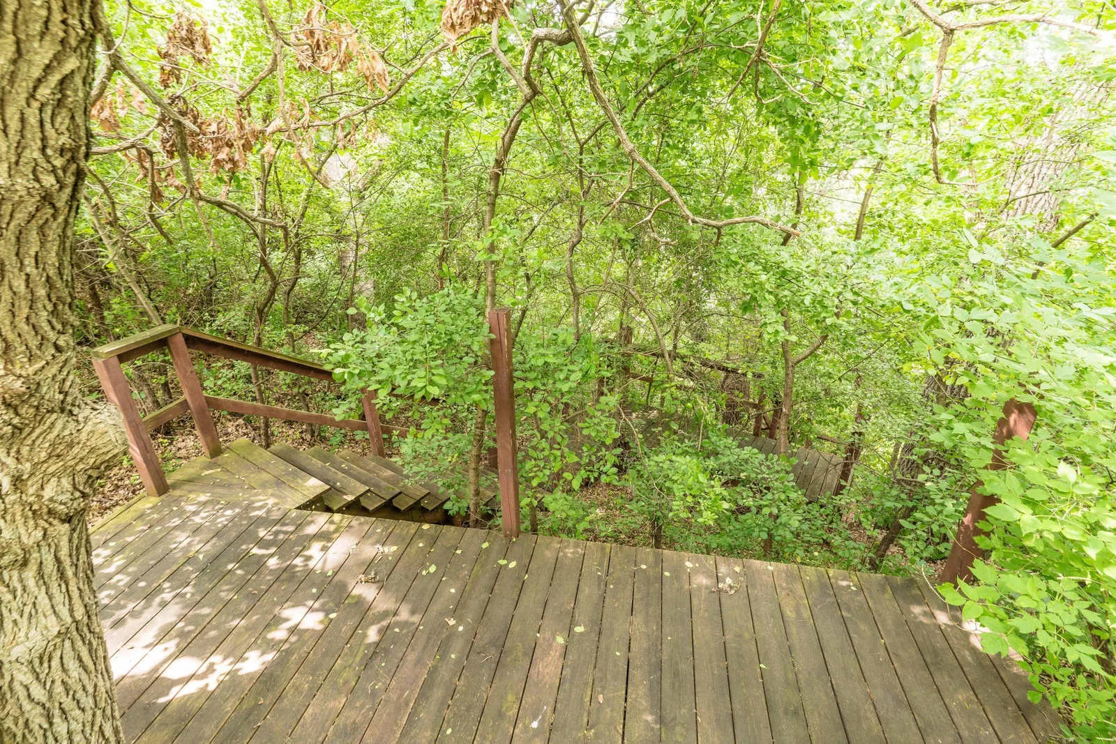 Steps to the river