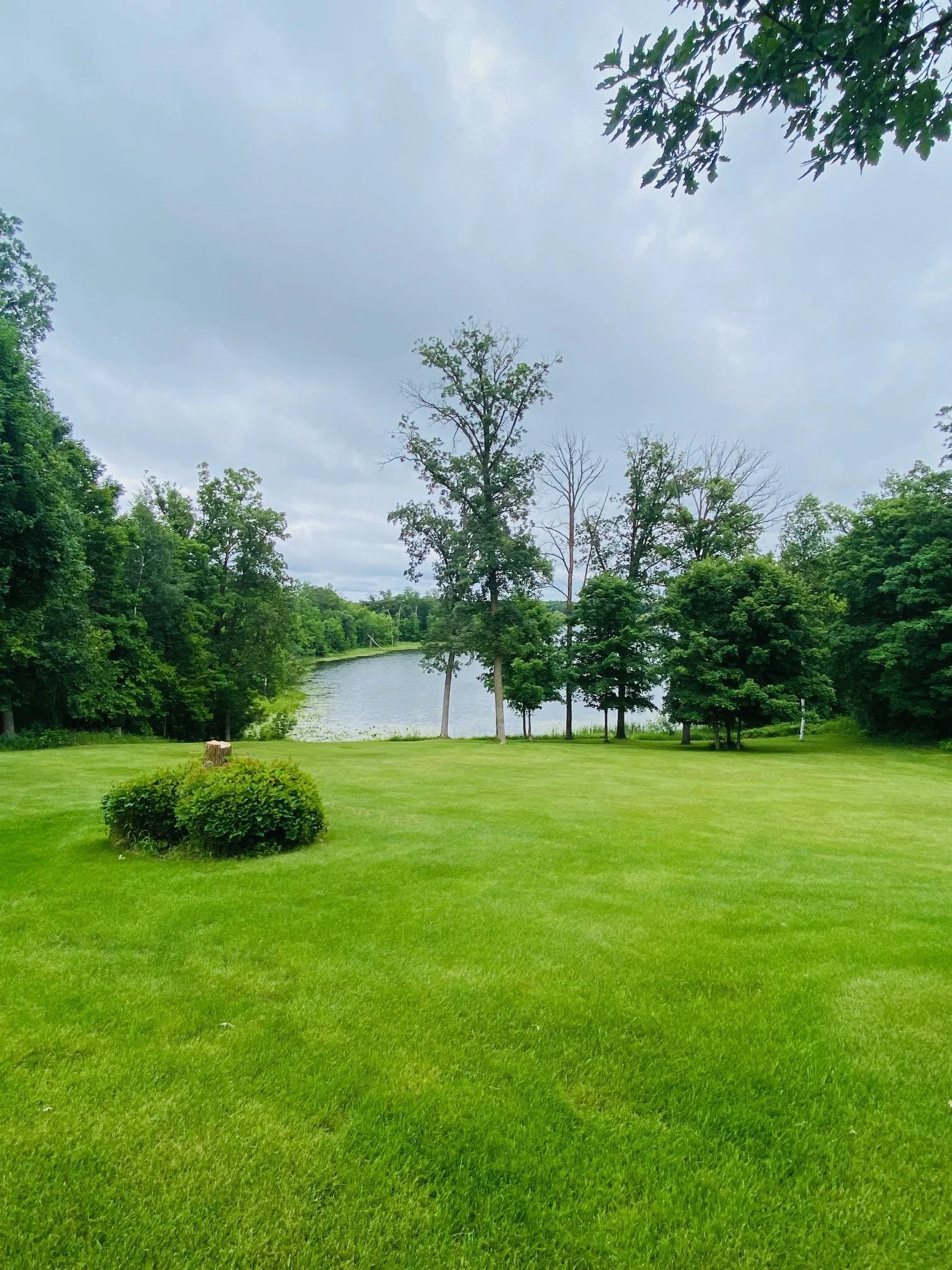 Lakeviews