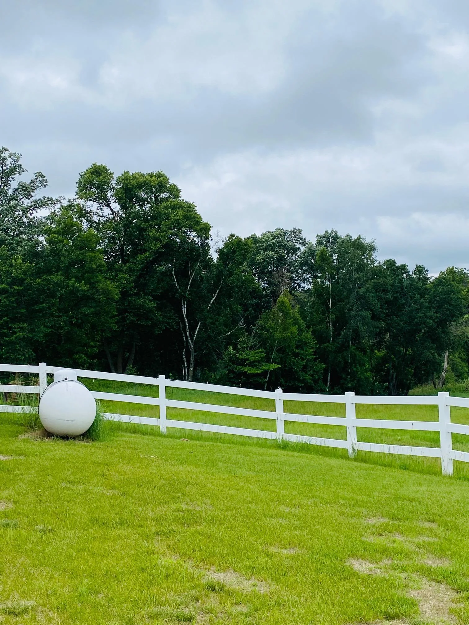 Multiple Fenced Pens