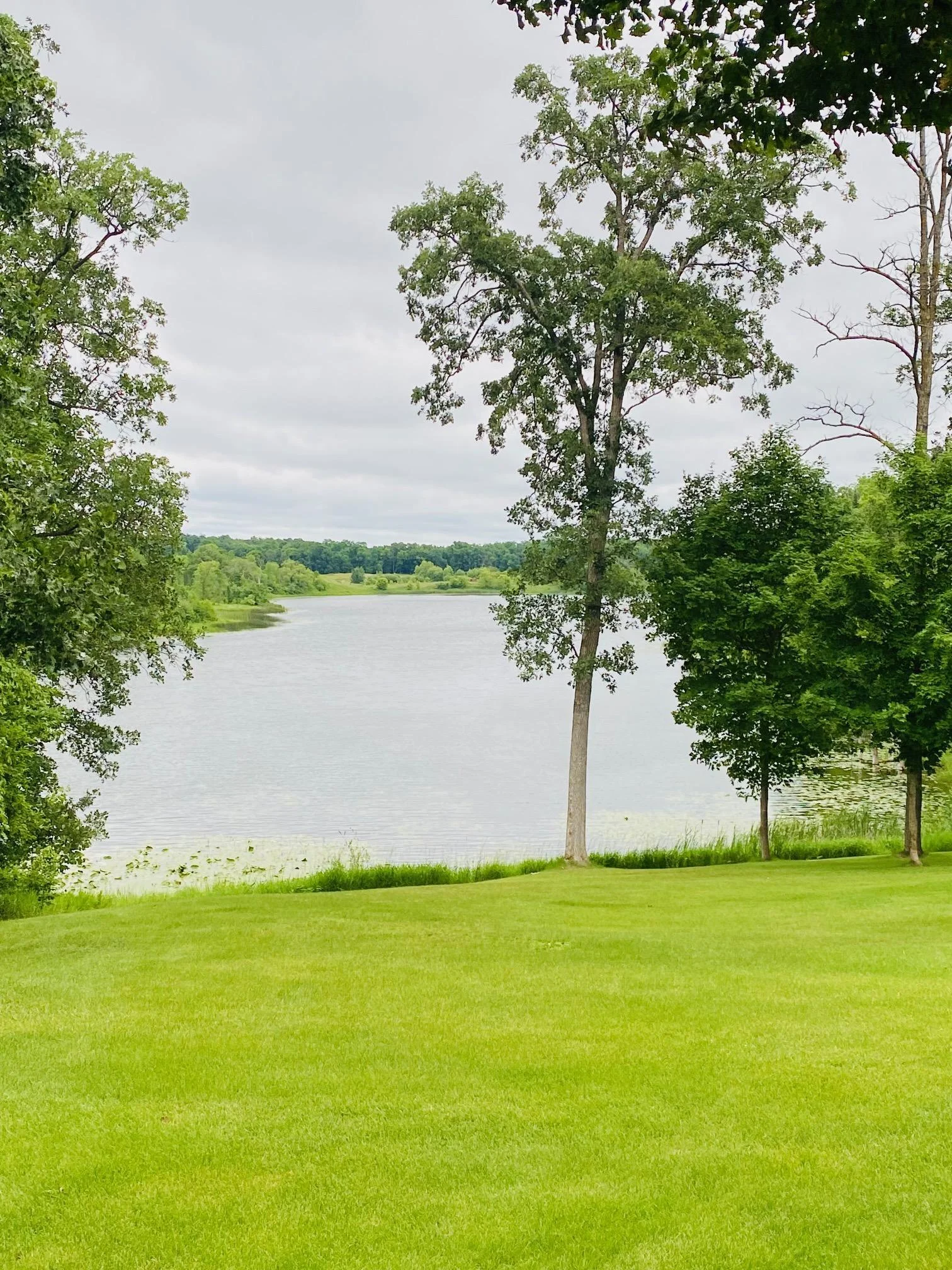 Lake Views from Home