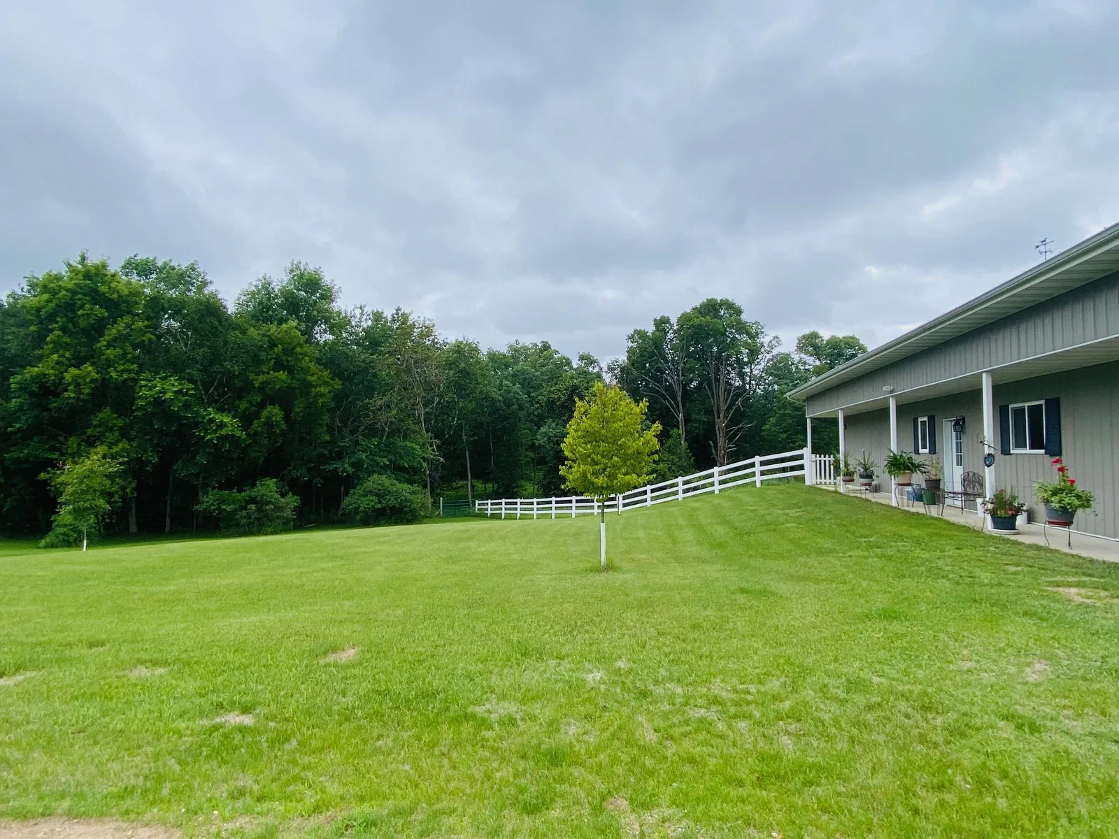 Side Yard to Shop