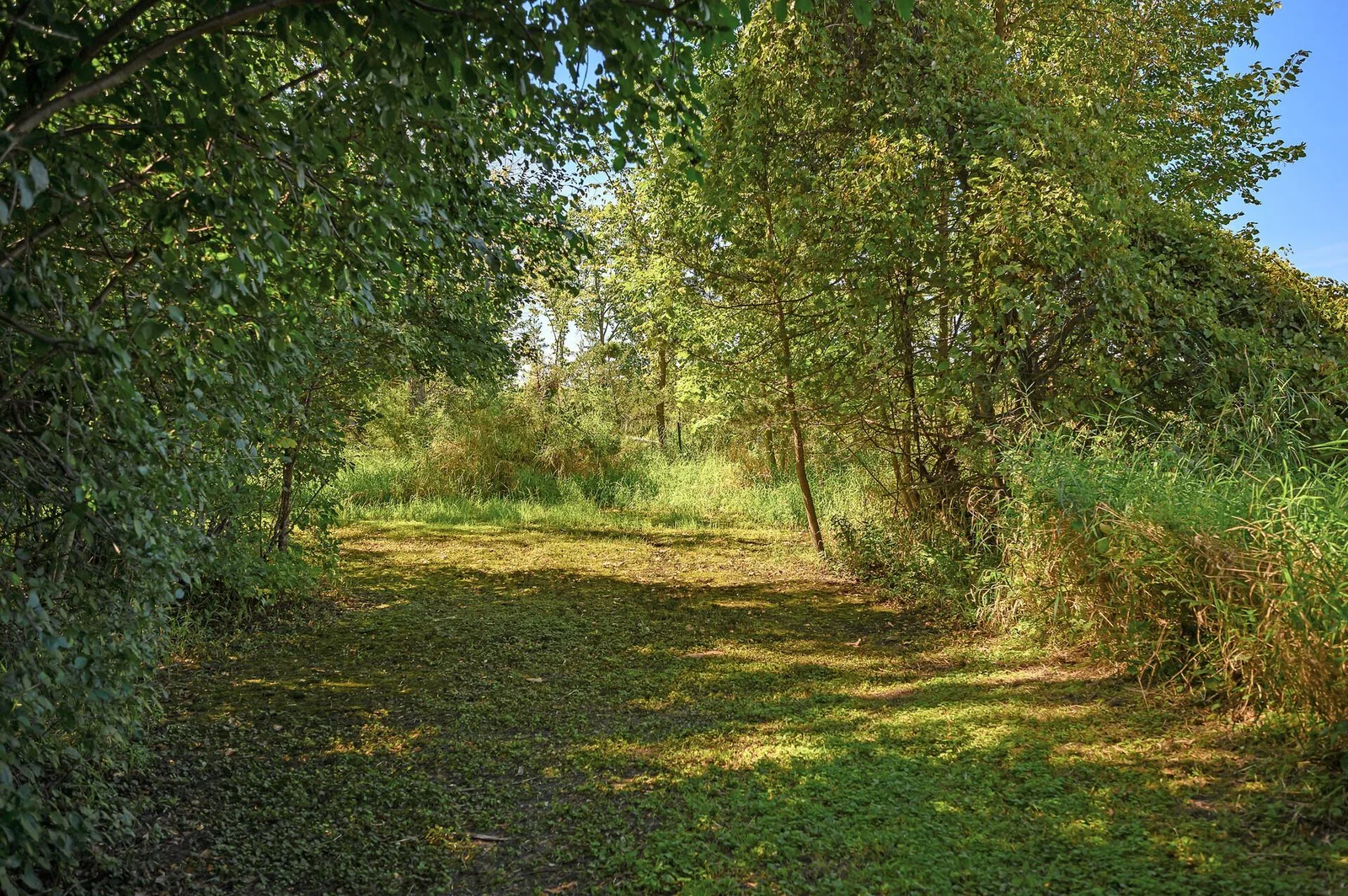 Explore the property during your showing!