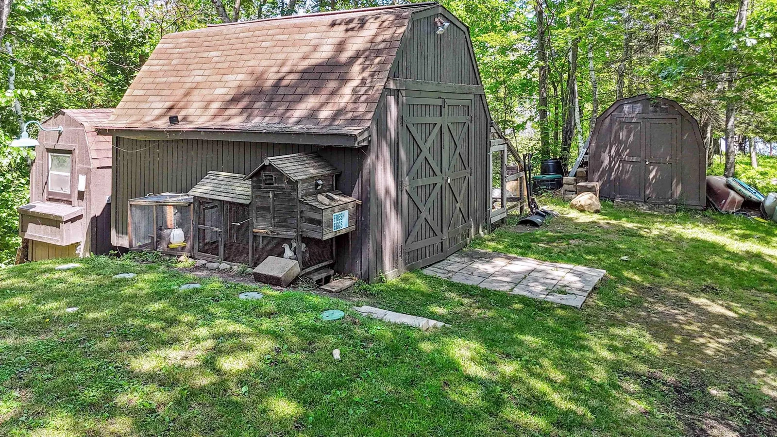 Sheds and Chicken Coop with wrap around run.jpg