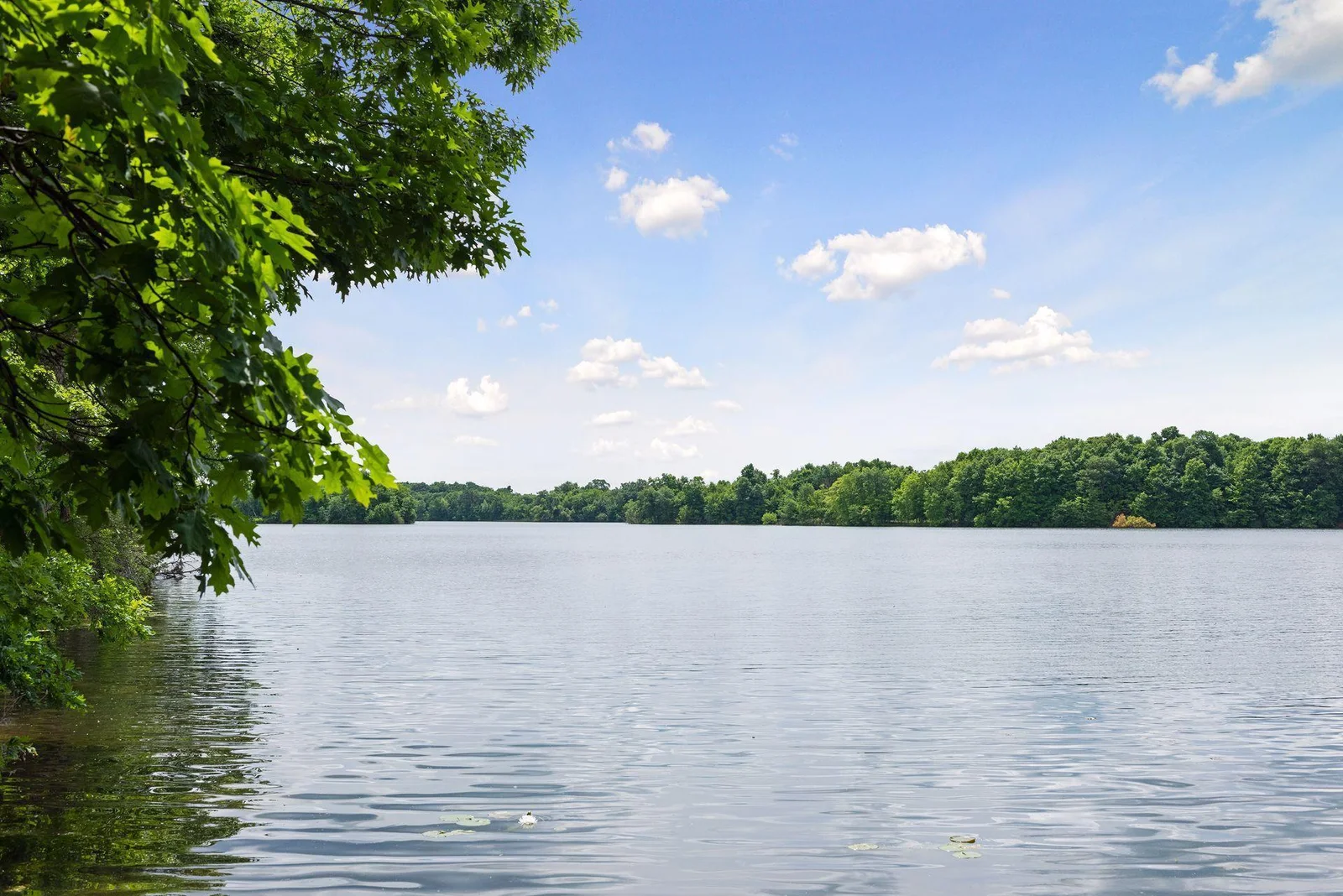 Your future backyard, Lake O'Dowd! Full recreational lake, ski, fish and enjoy all year round! Easy access to Hwy 169 and so many south metro amenities. Lake adventures are right here in Shakopee! Main lake ski course setup.