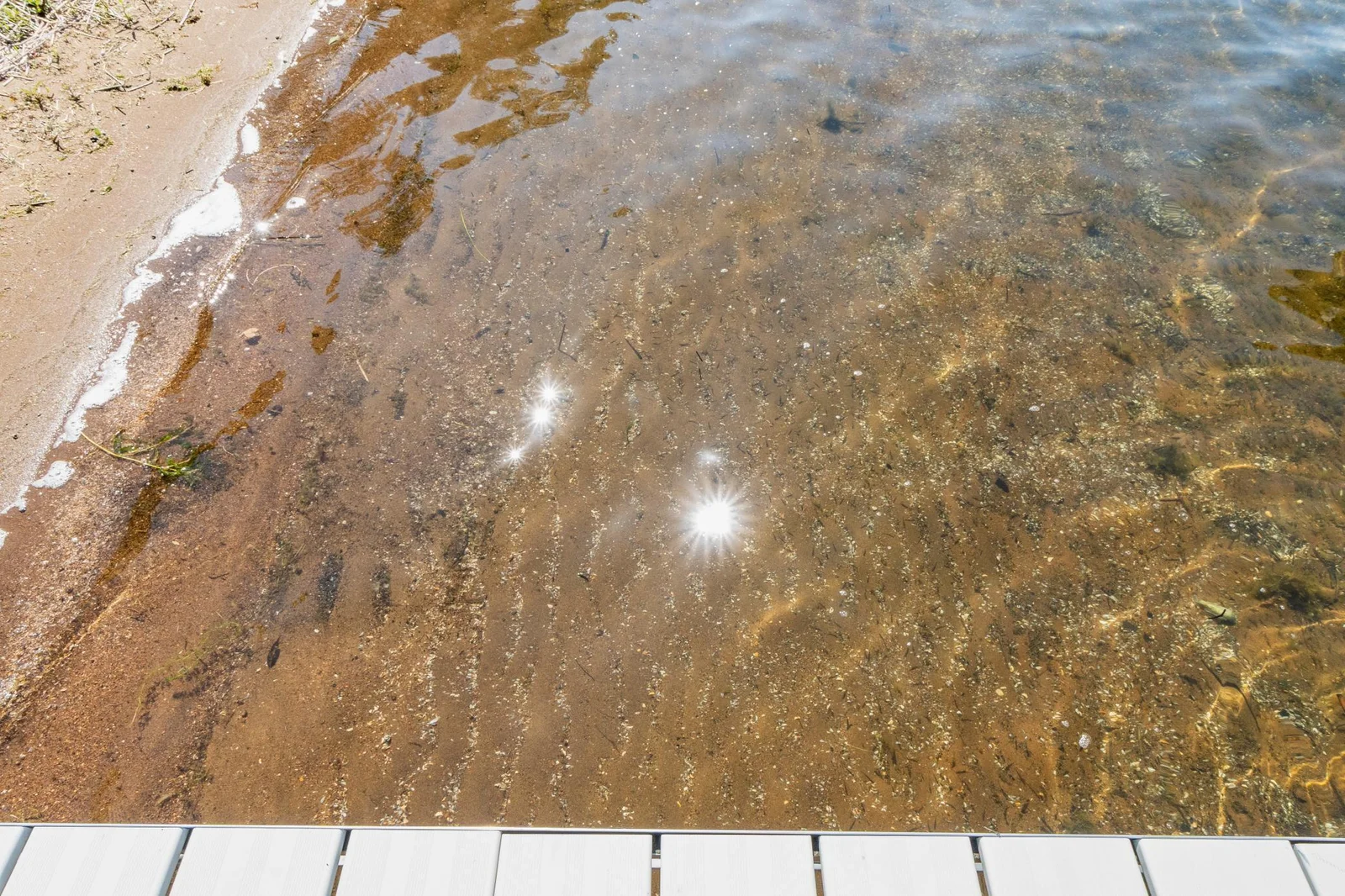 Sandy Shoreline