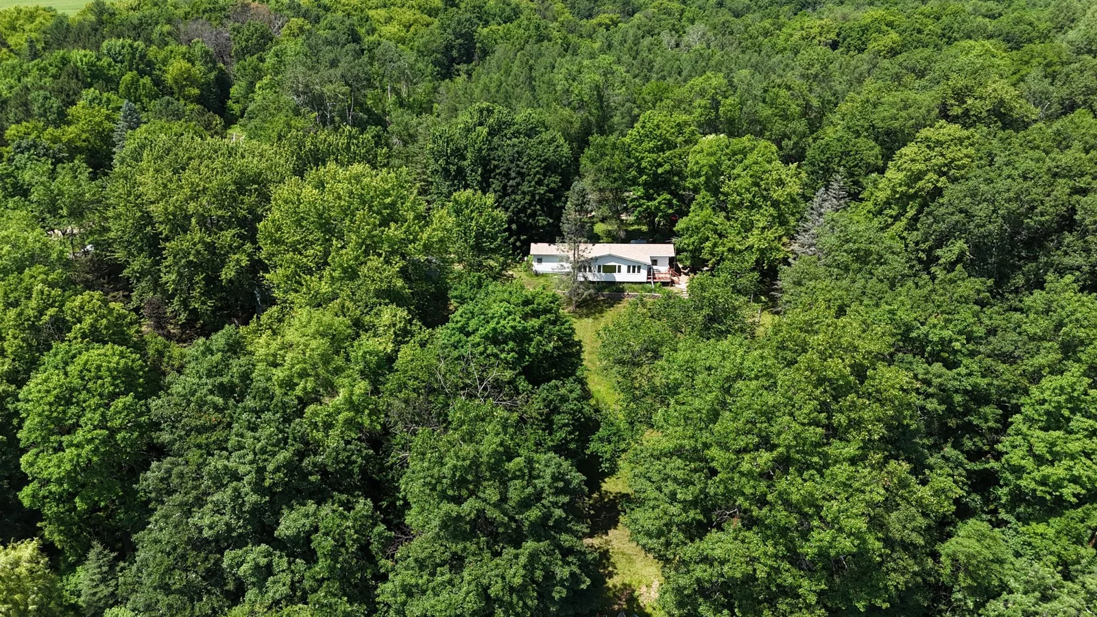 DJI_20250624140503_0161_D.JPG