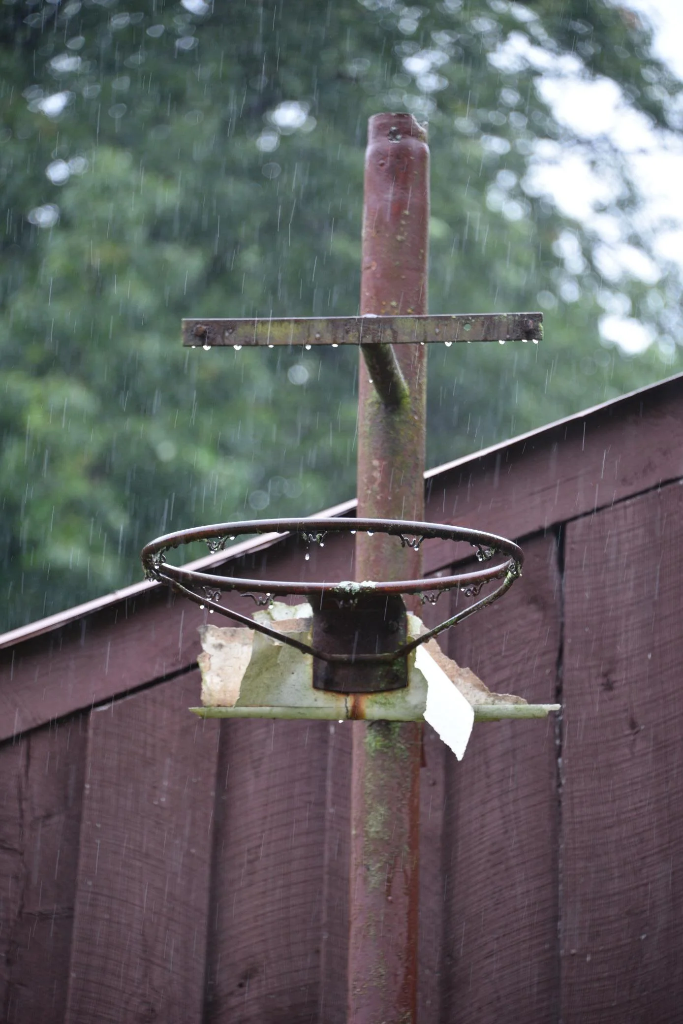 DSC_0852.JPG