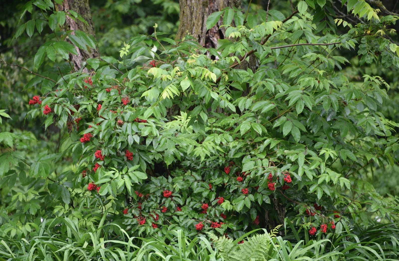 DSC_0857.JPG