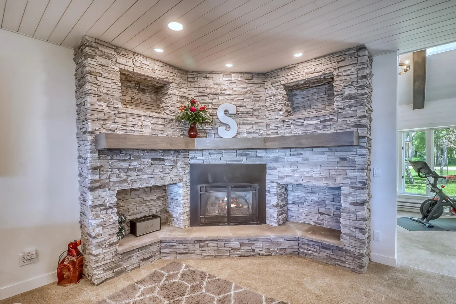 Living Fireplace.jpg