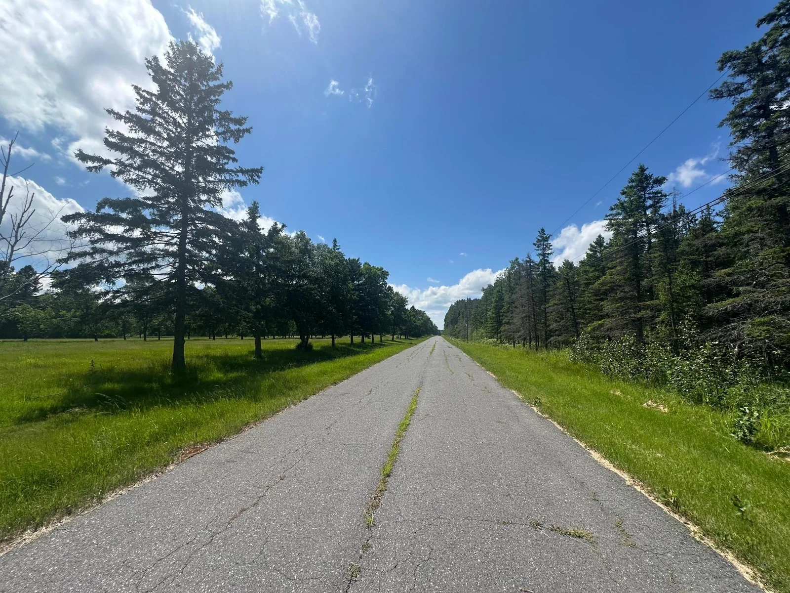 Driveway going into property