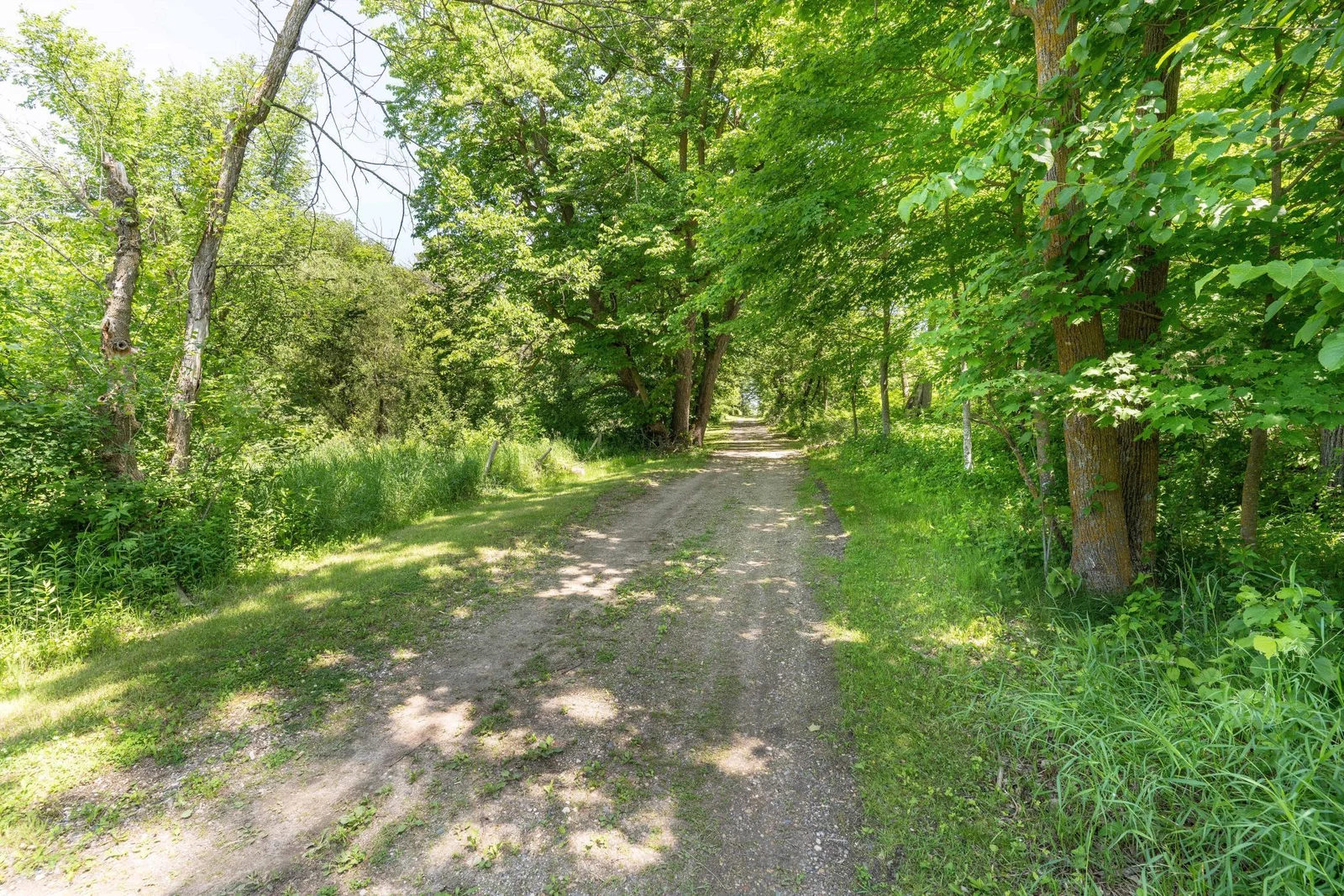 Canopy Driveway
