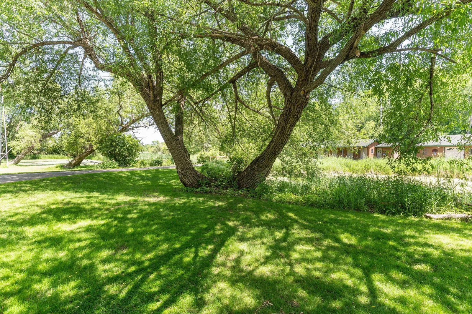 With All the tree's there are lots of shady spots
