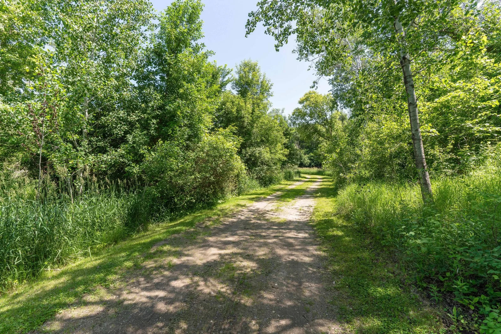 Long Drive way to County Road 58