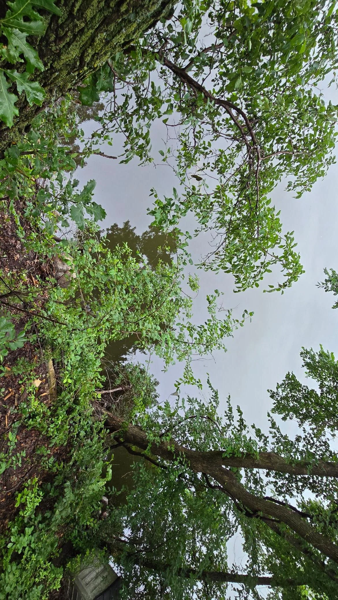 20250626_164157.jpg