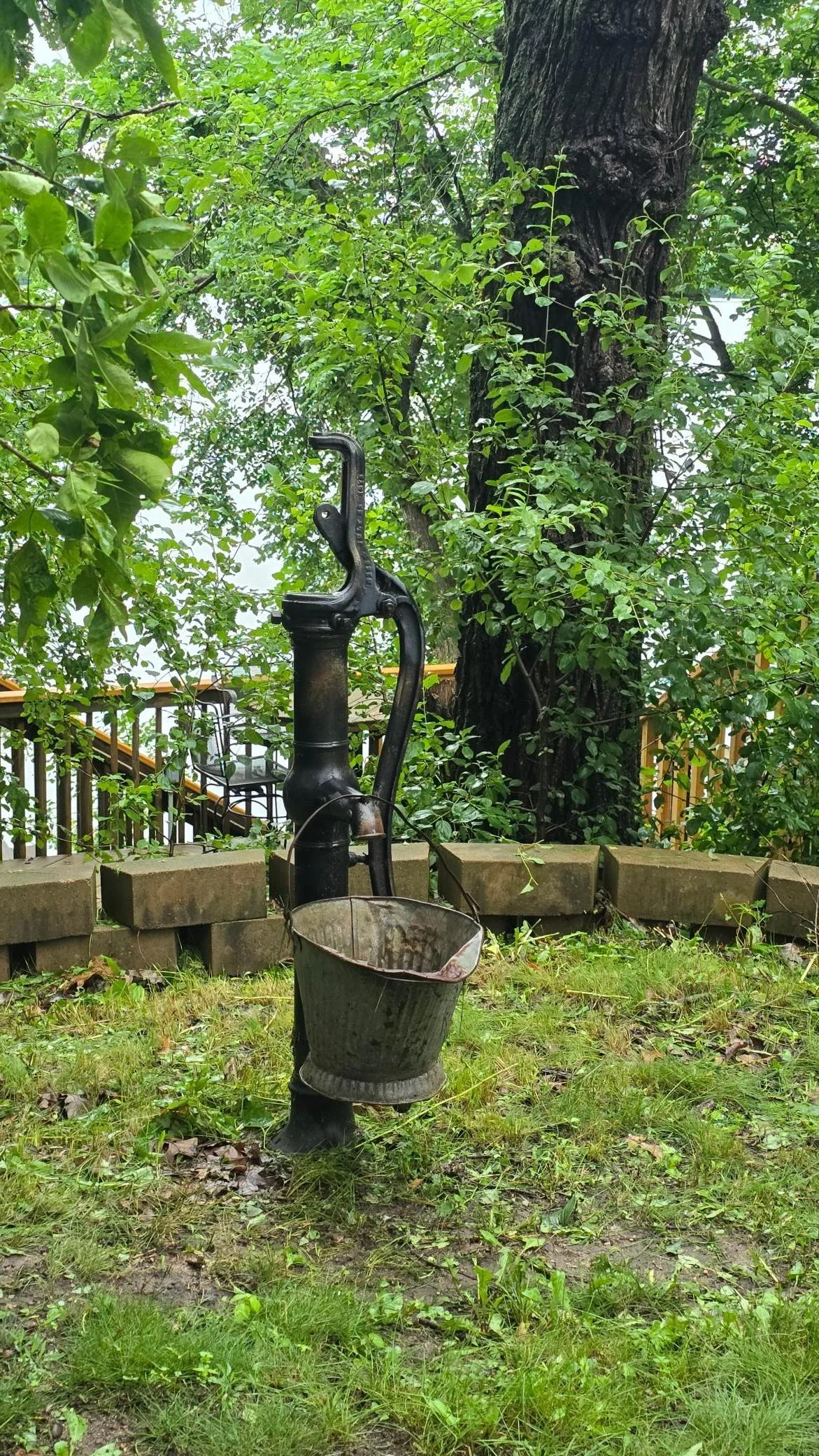 20250626_164016.jpg