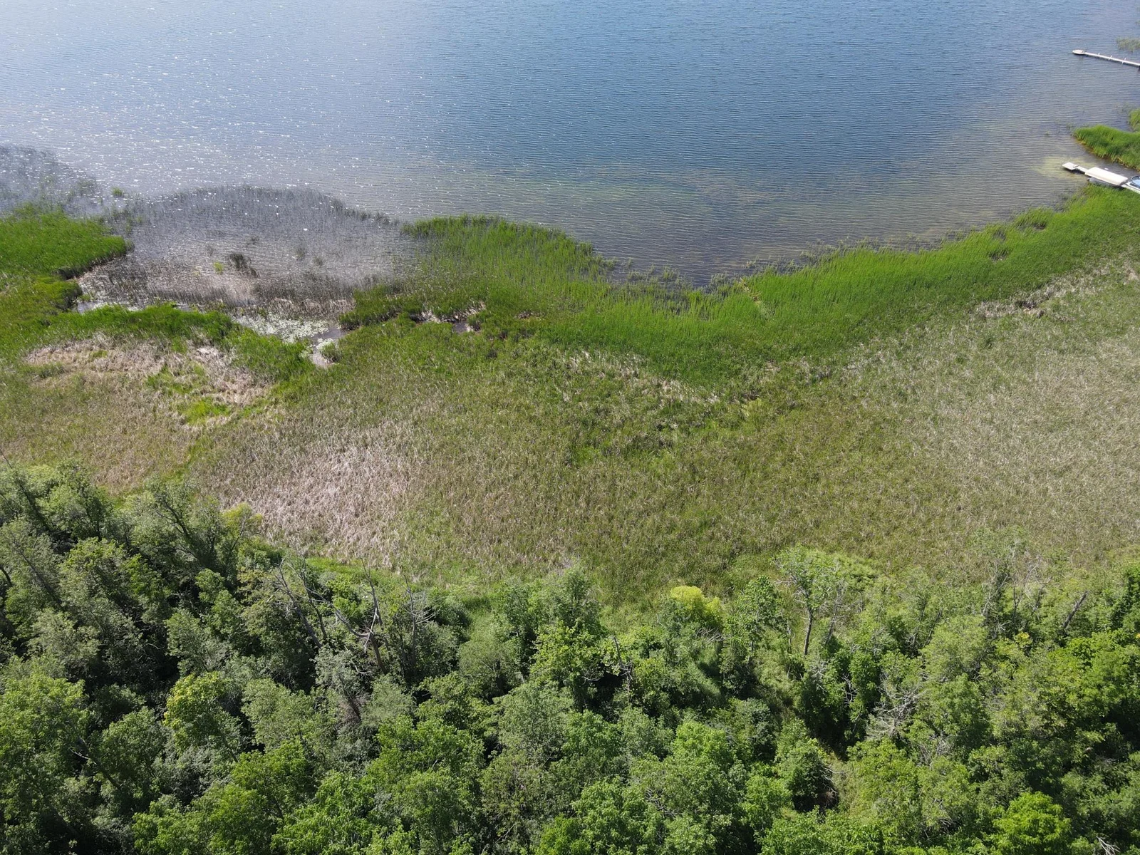 Lakeshore