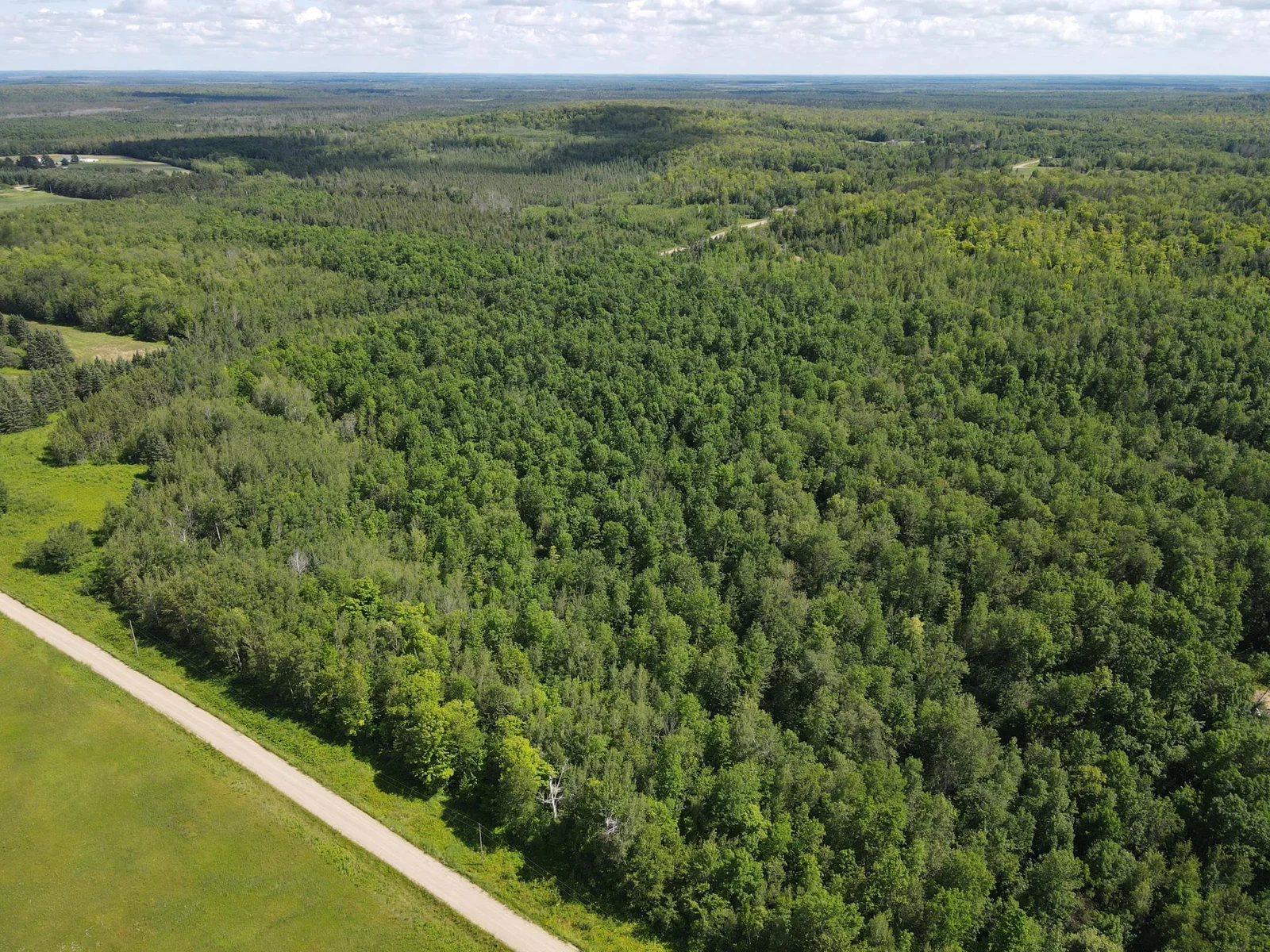 Wooded lot